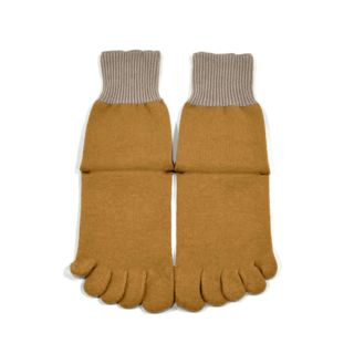 5本指コットンソックスの画像00