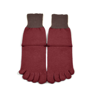 5本指コットンソックスの画像02